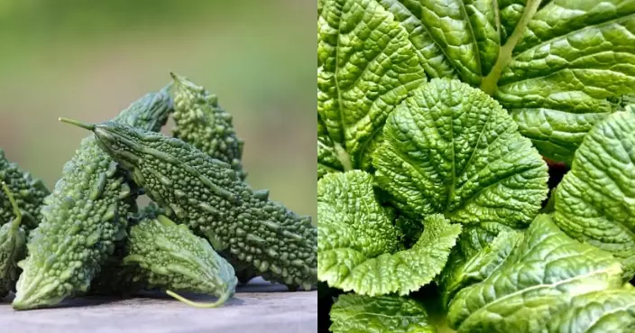 四月「吃苦」正當時？中醫教你揀對苦味食物清心火