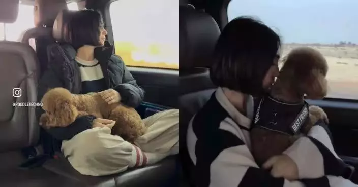 逃戰火未放棄寵物 卡塔爾夫婦領空關閉下駕車5小時跨國帶愛犬撤離