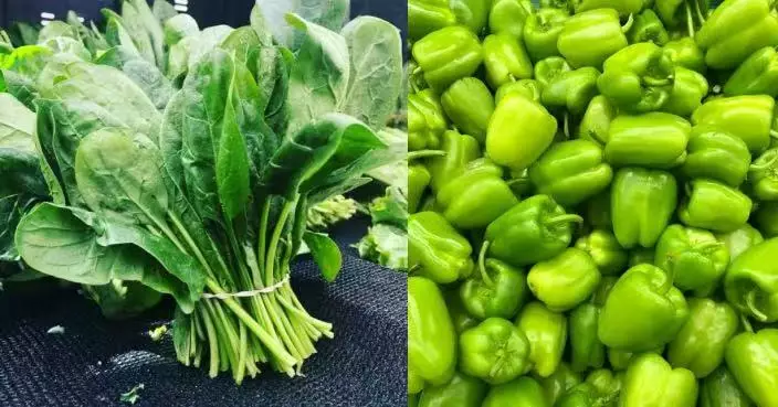 春末養肝最後衝刺 多吃5種青色食物可助疏肝健脾 忌只靠單一食材