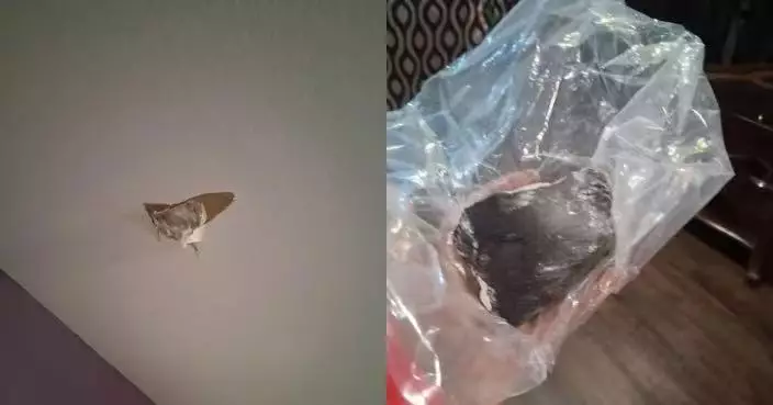 美住宅屋頂遭「天外飛石」擊中穿窿 NASA證實火球空中解體散落隕石碎片