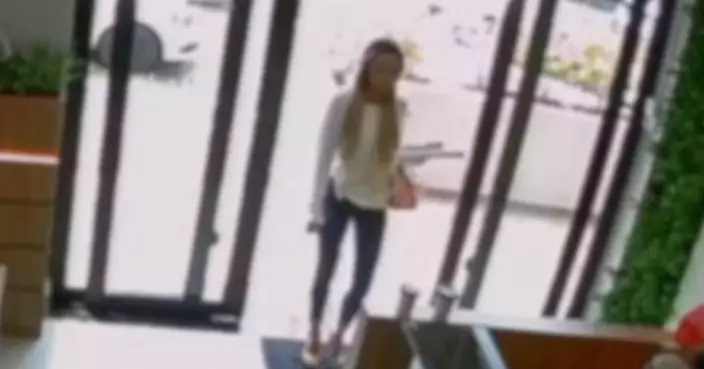 巴西多名應聘者面試後離奇負債 警逮捕1女涉假借招聘盜取個資借貸