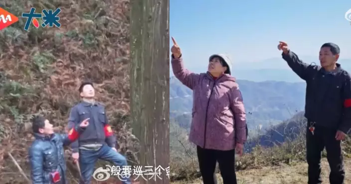 湖南夫婦扎根深山逾35年守護山林 兒子長大後接棒延續護林使命