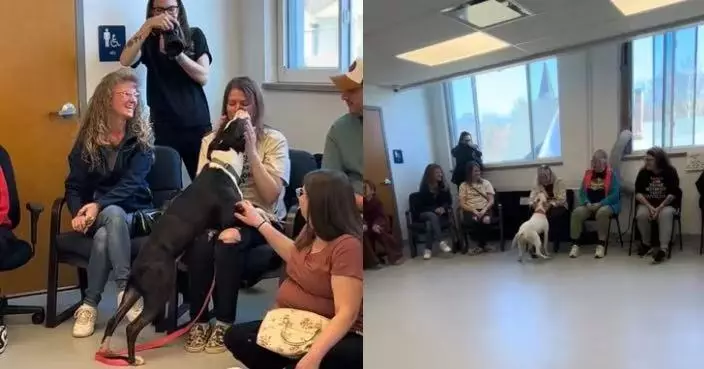 由毛孩自己決定跟誰回家 美收容所創意辦反向領養活動助4狗成功獲收養