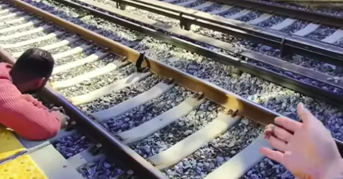 距列車進站僅6分鐘 美幼貓鐵軌徘徊獲善心途人聯手誘捕驚險救出