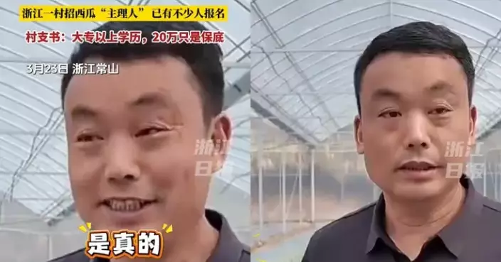 浙江公司年薪23萬招聘「西瓜主理人」引網民好奇 學者分析：腦力才是關鍵！
