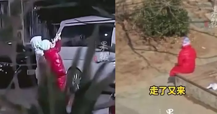 寵物公雞擾民遭鄰居殺死 北京大媽日夜持擴音器追兇滋擾全屋苑