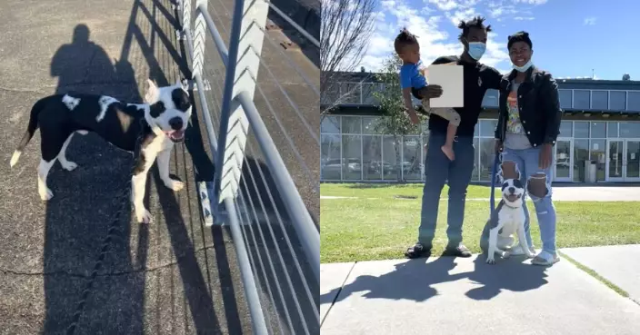 流落收容所逾兩個月 狗狗與苦尋多時主人重逢激動搖尾直撲入懷中撒嬌