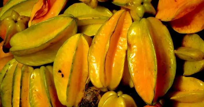 楊桃營養高卻暗藏風險 健康人士連吃4顆或致腎衰竭 專家籲4類人士慎食