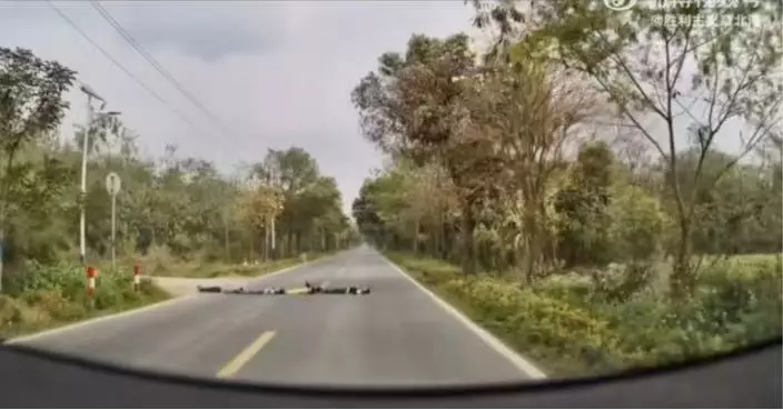 自動駕駛偵測路面有障礙物！清遠司機駛近驚見4孩童並排躺路中央扮減速壆嚇壞
