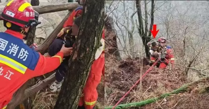 疑逗弄小猴惹母猴不滿 江西5歲男童遭扯落10米懸崖幸獲大樹擋住無受傷