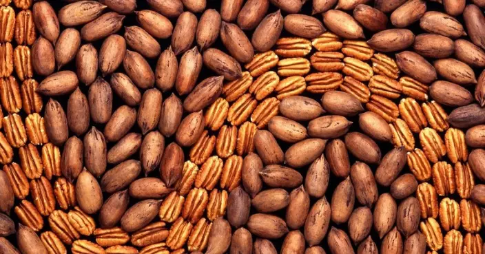 冷門堅果胡桃營養價值高 研究指規律攝取或有助改善心血管健康