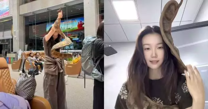 雲南特色手信！ 遼寧女帶「逾1米長巨型豆莢」搭飛機跨4千公里帶回家