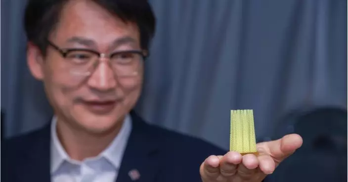 理大仿生傳感新突破 拆解海膽「機電感知」能力研製高效能水流傳感器