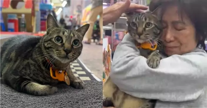 旺角人氣貓店長「阻B」一度驚傳失蹤樓上賓館尋獲 警員帶走一名涉案女子