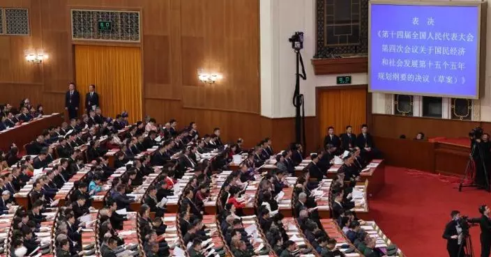 全國兩會｜人大表決通過十五五規劃綱要 趙樂際：努力實現良好開局將願景變成美好現實