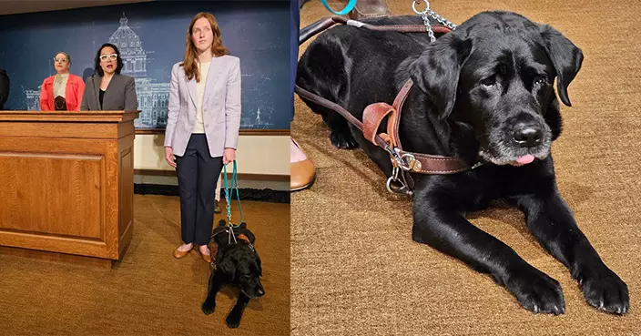 美共享車平台Lyft屢拒載導盲犬 與州政府和解 盲人女大生獲賠49萬