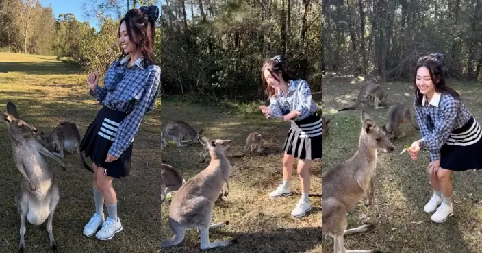 游嘉欣澳洲旅行被派「檸檬」？引小袋鼠望鏡頭合照狂失敗