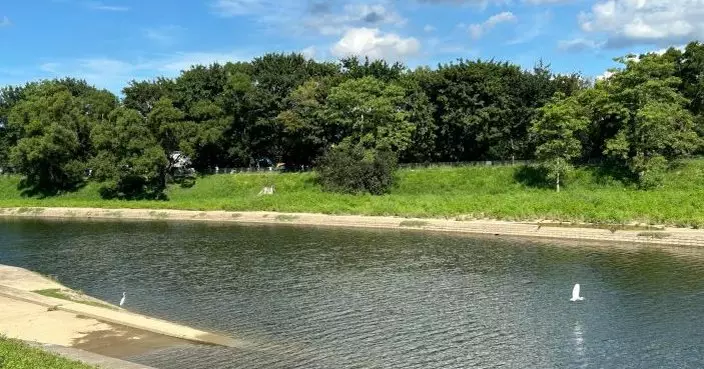 上水38歲婦墮梧桐河  5旬夫跳河救妻雙雙不治