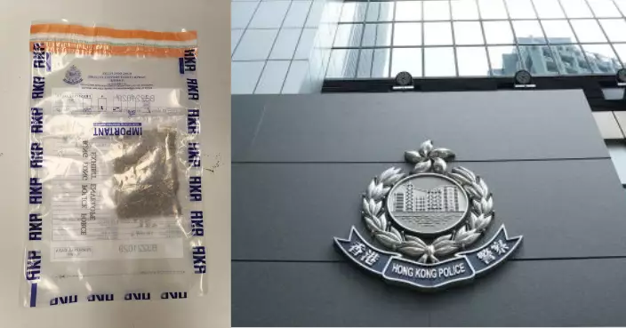 警方大埔村屋檢值21萬元懷疑大麻花 一男子涉販運危險藥物被捕