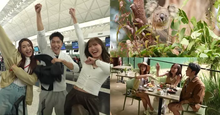 他們的澳洲駕期｜吳若希戴祖儀丁子朗玩轉昆士蘭！與3歲樹熊共進早餐引爆「口舌之戰」