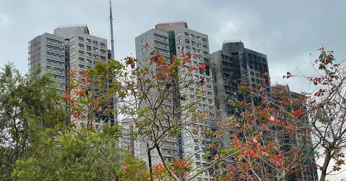 大埔火災｜消防逐步增求助熱線　專家：完善制度但須防「有線無人接」 籲增人手配套 引入AI等科技協助