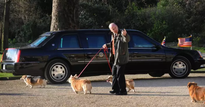 窮到燶？莎拉為錢想克隆女王愛犬近78萬一隻 知情人士：佢好等錢使