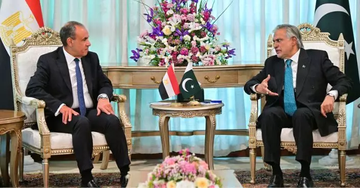 中東局勢｜巴基斯坦與到訪埃及外長會面 雙方強調克制對話