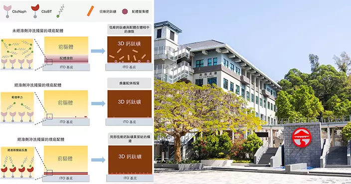 嶺大團隊改良鈣鈦礦太陽能電池 連續運作700小時仍保95%效能