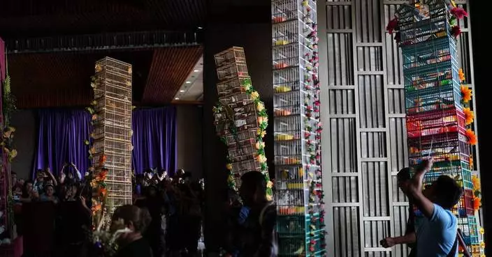 墨西哥雀鳥商販年度朝聖 裝飾鳥籠湧向瓜達盧佩聖母聖殿