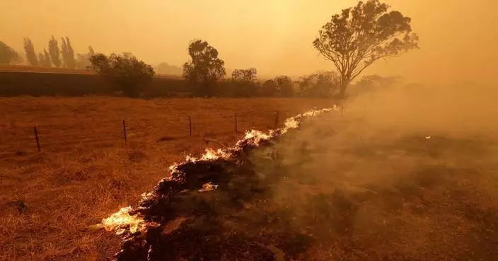 熱浪＋乾旱雙重打擊！研究：全球暖化令極端天氣「連鎖爆發」成新常態