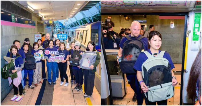 「全城狗狗行善日 」合要求狗狗開心搭港鐵　狗主：冀本港有更多寵物友善措施