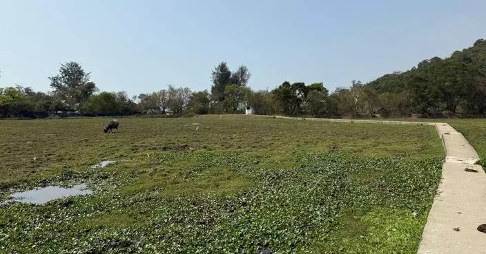 貝澳濕地去年9月發現油污　環保署：環境已顯著改善生態環境正全面恢復