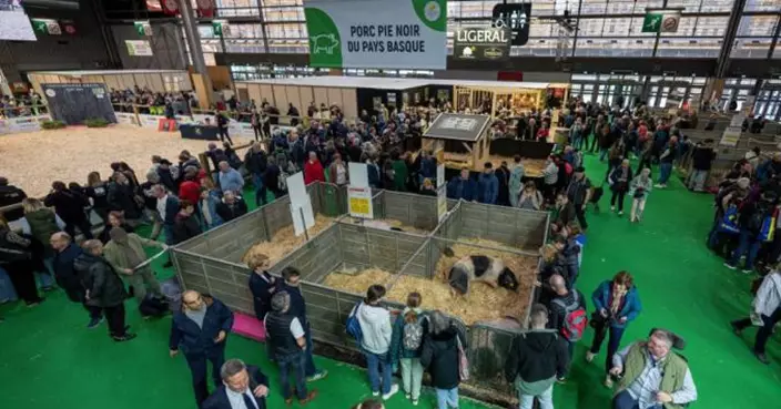 巴黎農業大展62年來首度冇牛！牛結節疹疫情重創法國養牛業