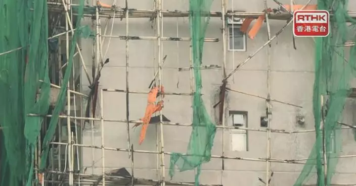 委員會披露　宏業建築新舊棚網阻燃證書屬同一份勞工處未察覺