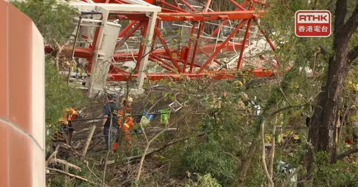 工程師料金屬疲勞致天秤倒冧　勞聯促全面檢視監管機制