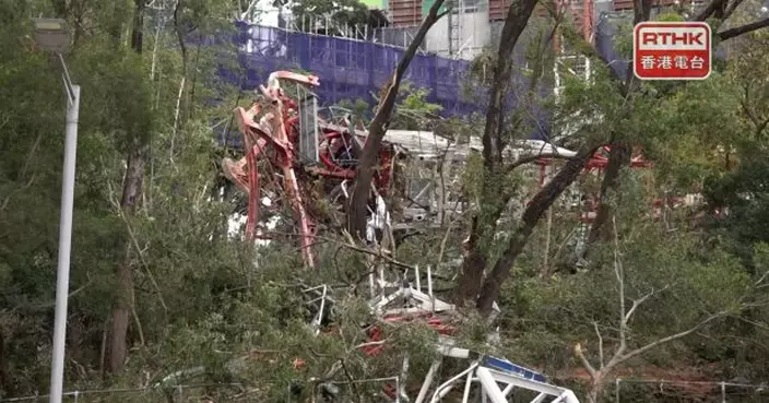 發展局即時停止葵涌天秤倒塌涉事承建商工務工程建築類別投標資格