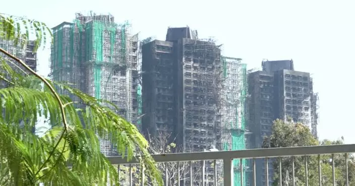 市建局代表大律師稱宏福苑非透過「招標妥」聘工程顧問故認知有限