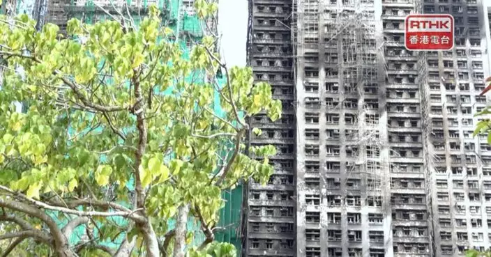 政府下午交代宏福苑7幢樓宇受災居民回單位執拾安排