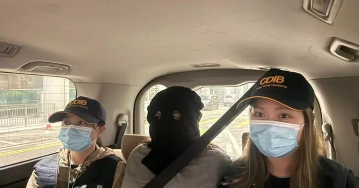 行李藏90萬元大麻花　25歲旅客曼谷抵港被捕