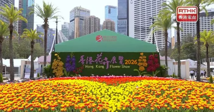 花展明晚閉幕　下周一派發逾3千盆植物