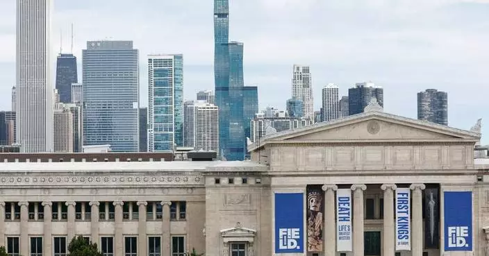 3億年前「八爪魚」化石非八爪魚 專家揭為鸚鵡螺近親