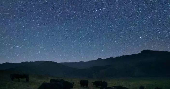 Halter推全球首個衛星虛擬圍欄系統 牧場管理不再受限