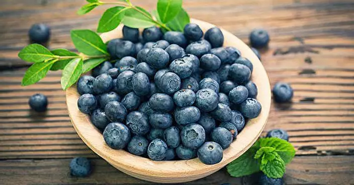 藍莓日食50克已足夠！福建女子過量食用致胃石症 醫生：空腹大量攝取高危