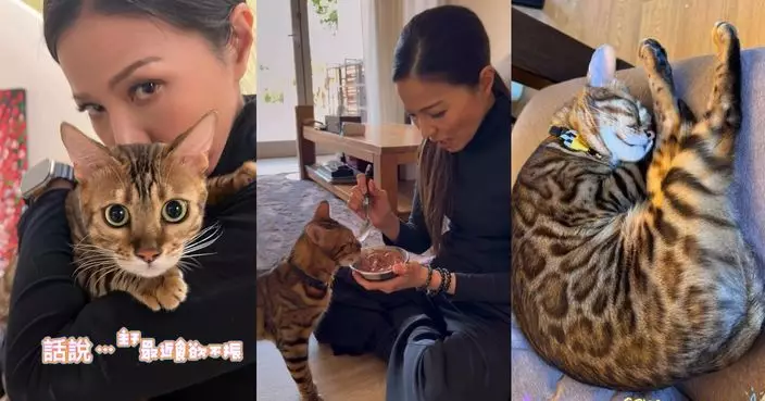 滕麗名複式豪宅曝光！餵貓耐性十足獲封「最溫柔慈母」