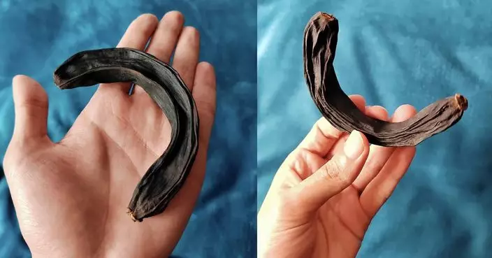 內地網民曬「放8年香蕉」沒爛沒臭風化變「活化石」掀網絡考古熱