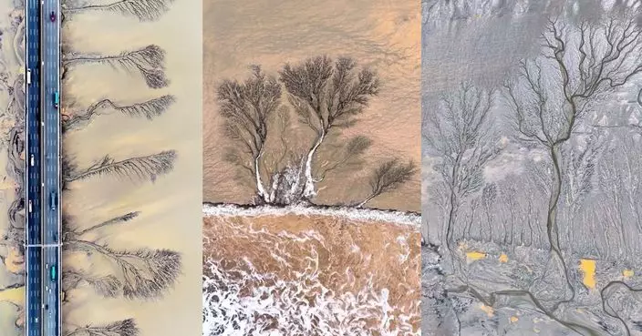 有片！錢塘江退潮現「潮汐樹」奇景 如天然潑墨山水畫