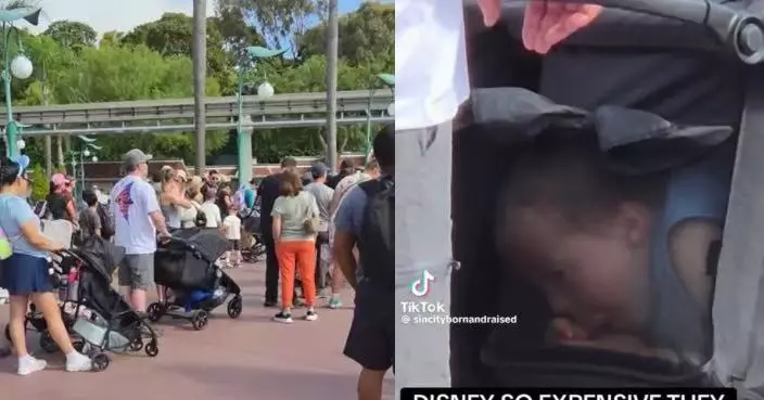 加州迪士尼樂園票價昂貴釀逃票亂象 夫婦被目擊將孩子藏嬰兒車「偷渡」入園