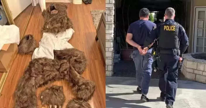 美3男女扮熊破壞豪車呃保險索賠逾百萬 離奇騙局遭揭穿