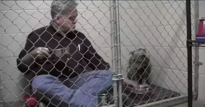 流浪狗見人退縮拒進食 獸醫入籠坐低陪食助卸心防 暖心互動感動網民