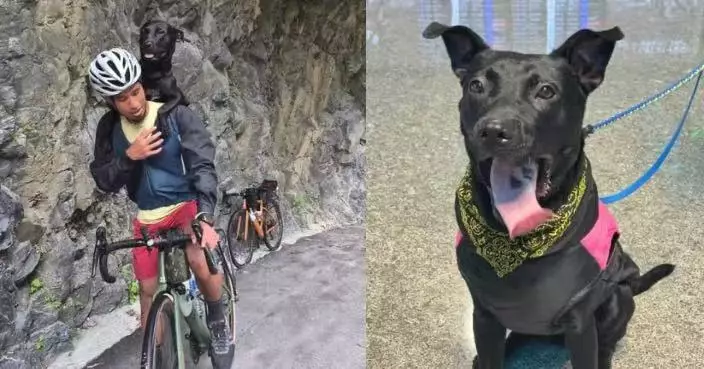 台灣騎車環島遇流浪犬一路緊跟 加國夫婦暖心收編跨越9千公里帶牠返屋企